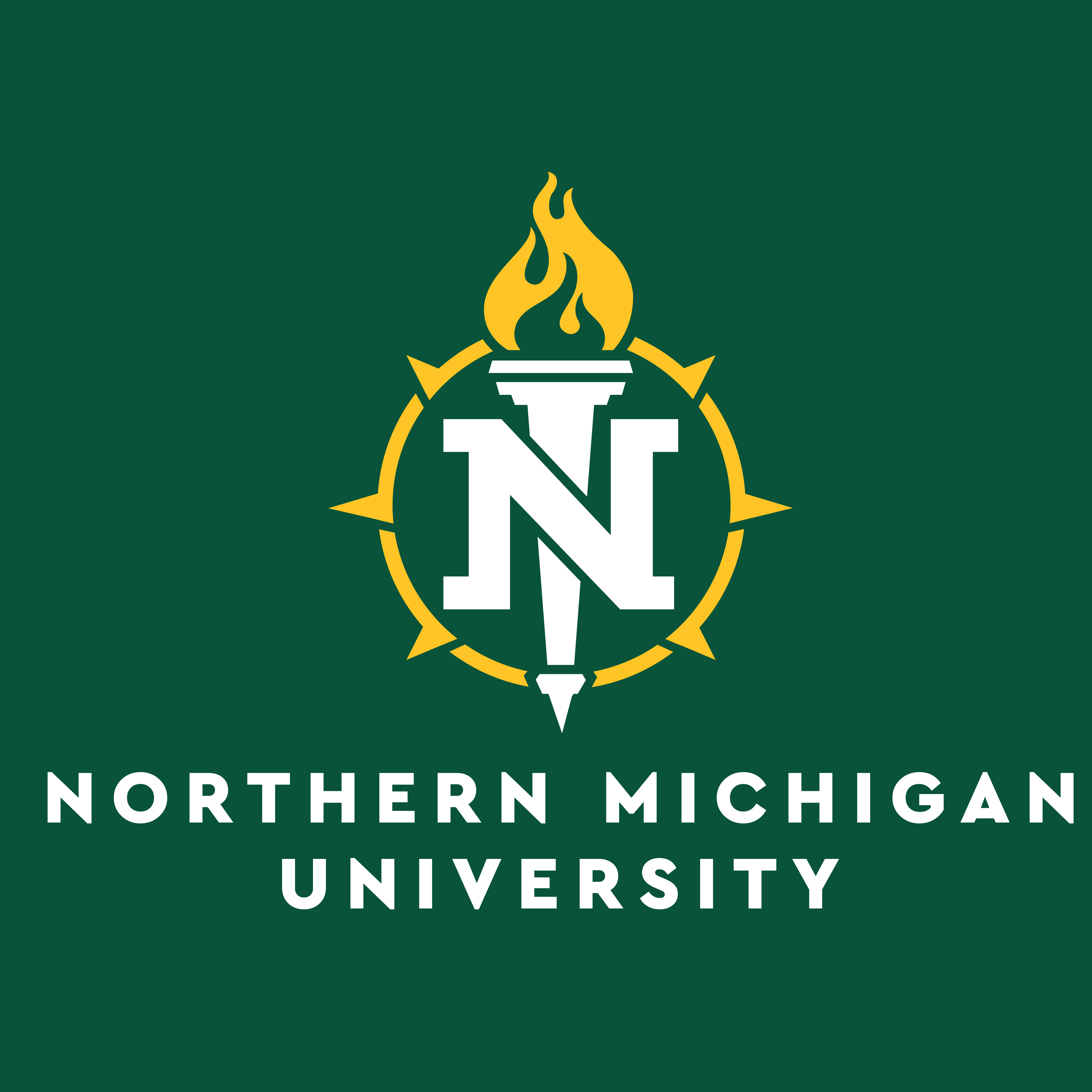 Northern MI University Logo
