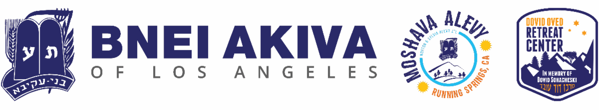 Bnei Akiva of LA