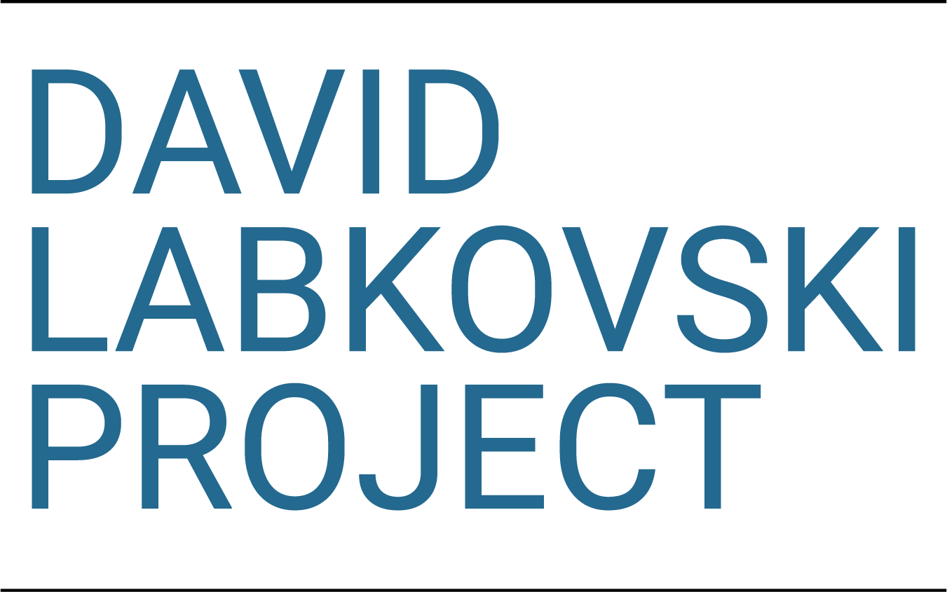 David Labkovski Project (DLP)