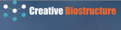 Creative Biostructure