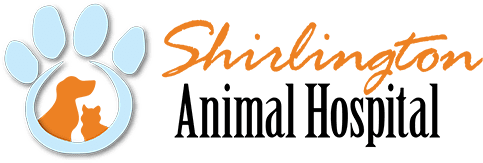 Shirlington Animal Hospital