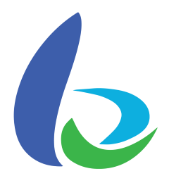 Beyond Green Solutions
