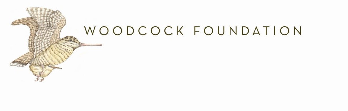 Woodcock Foundation