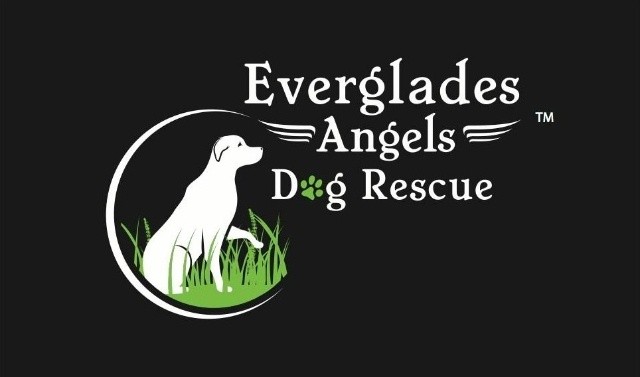EVERGLADES ANGELS DOG RESCUE INC