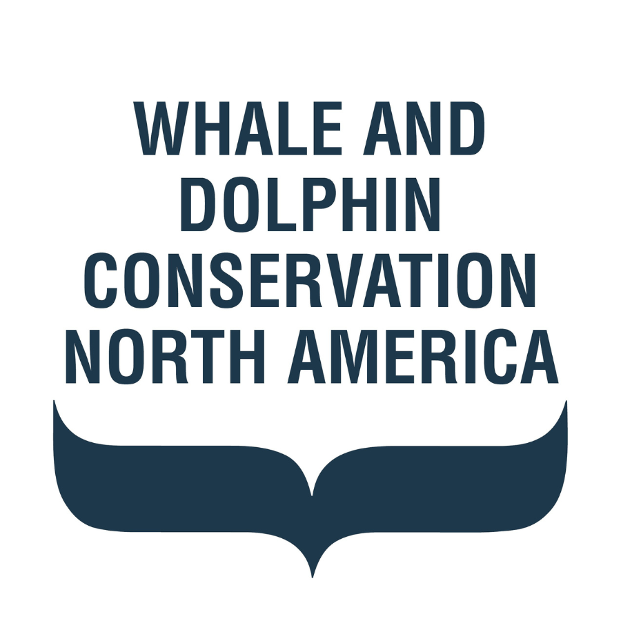 Whale and Dolphin Conservation