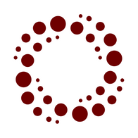 AI and Democracy Foundation