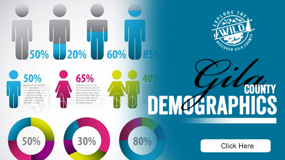 Gila County Demographics